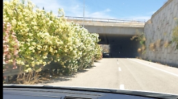 Svincolo Zia Lisa a Catania ogni commento &egrave; superfluo