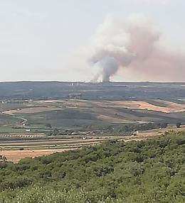Menfi, in fiamme il bosco del Magaggiaro: ingenti danni all'ambiente