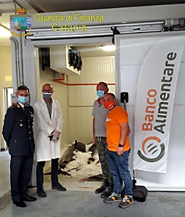 Catania, 13 esemplari di tonno rosso non tracciabili sequestrati a Ognina