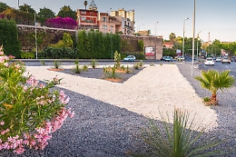 Catania, aiuole e spartitraffico: il Tondo Gioeni cambia aspetto