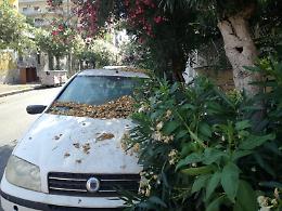 Catania: via S. Paola, piccola traversa, abbandonata al suo destino