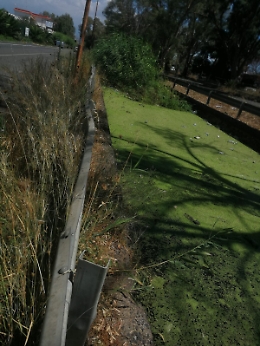 Catania: canali di scolo ostruiti alla Zona Industriale