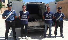 Palermo, in vendita 160 chili di pesce non idoneo al consumo