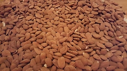 Le mandorle bio non erano tracciabili, bloccate 98 tonnellate a Ragusa