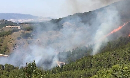 Ancora fiamme nei boschi di Burgio. Per il sindaco causa è dolosa