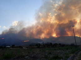 In fiamme i boschi intorno Monreale 
divorati ettari di vegetazione