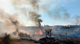Serradifalco, in fiamme riserva naturale di Lago Soprano. Per sindaco è doloso