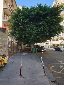 Catania: "Qualcuno mi aiuti a fare qualcosa per via Pola"