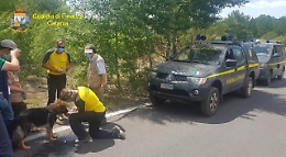 Si perde tra i boschi alle pendici dell'Etna, salvato dal Soccorso Alpino