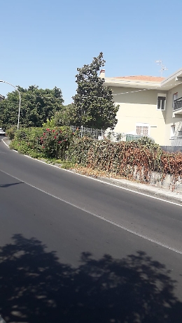 Tremestieri Etneo: marciapiede di via Nuovaluce pieno di erbacce