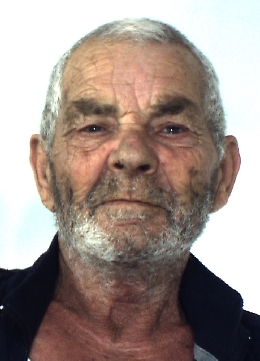 Licodia Eubea, dai domiciliari al giro in auto: «Stavo trasferendo un vitellino»