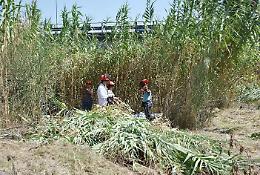 Appaltati e avviati otto interventi di manutenzione dei corsi d’acqua per ridurre il rischio idrogeologico nel territorio provinciale