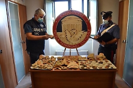 Area archeologica scoperta a Rosolini in terreno affittato