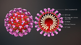 Coronavirus, positiva alunna di 9 anni dell'Elementare "Garibaldi"