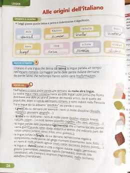 La parola "mafia" scelta come esempio di lingua siciliana: bufera su un libro 