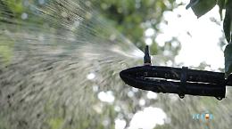 Progetto A.C.Q.U.A.: ecco come si usa l'acqua nella filiera agrumicola siciliana