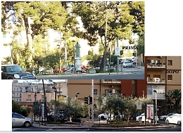 Catania, quartiere Borgo-Sanzio: barbara capitozzatura degli alberi