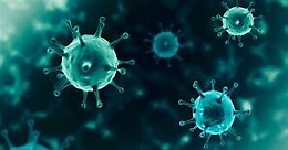 Covid, "Cos&igrave; il virus bleffa il sistema immunitario"