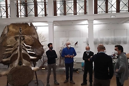 Catania: prende corpo il nuovo museo di Zoologia, la galleria scientifica più antica della Sicilia