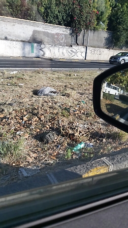 Catania, circonvallazione: potano ma non puliscono