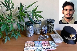 Catania, spacciava a Picanello: in casa aveva 250 grammi di marijuana