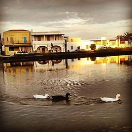 Salina, dicembre 2020: un presepio vivente sul laghetto