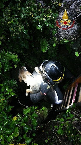 Carlotta cade nella grotta, i vigili del salvano