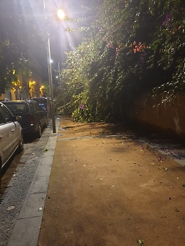 Catania: pista ciclabile di Via Marchese di Casalotto interrotta dai rovi