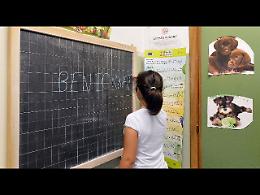 Scuola, come ripartire a settembre? Ecco le proposte dei "saggi"