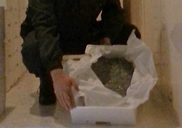 Palermo, sequestrai 30 chili di novellame di sarde e ricci di mare