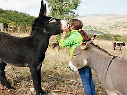 Il sogno di Stefania realizzato tra asine, trekking e uliveti