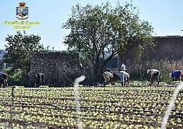 Caporalato in Sicilia: quasi un operaio su due è "irregolare"