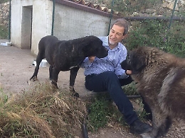 Musumeci: «Io sono un animalista, con mia sorella accudiamo 50 randagi»