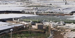 Vento, la Sicilia si lecca le ferite. Musumeci: &laquo;Colpo di grazia ad aziende agricole&raquo;