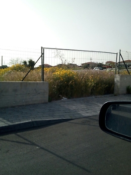 Catania, parco e aiuole non pulite a San Nullo in via Alan Turing