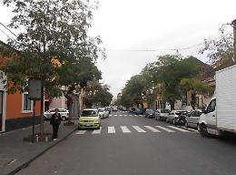 I segreti della strada lunga Ottanta Palme