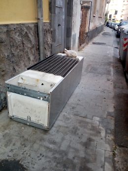 Catania, frigorifero dimenticato in via Franchetti