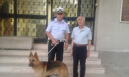 Trecastagni, cane "dato a un amico" ma in realtà era stato abbandonato