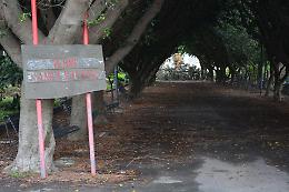 La Regione e l'immortalità di Partecipate chiuse da anni ma ancora "mangiasoldi"...