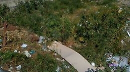 "E' una vergogna vivere a Catania!"