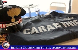 Catania, sequestrate 937 tonnellate di grano duro tra topi e piccioni morti