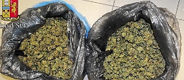 Niscemi, in fuga con sacchi di marijuana in spalla: arrestati
