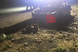 Orrore a Trabia: cane legato all'auto 
in fiamme muore bruciato vivo