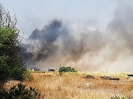 Incendi nel Siracusano, traffico deviato lungo la Ss 114 e fenicotteri a rischio