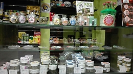 «Vendere la cannabis light è reato»: ecco le motivazioni della Cassazione che mettono a rischio il settore