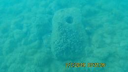 Agrigento, nuovo rinvenimento dei subacquei di BCsicilia