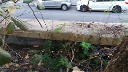 Catania: il muro del giardino Bellini è senza protezione
