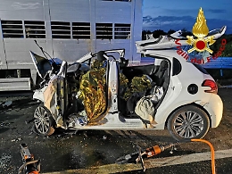 Incidente sulla Statale 194 a Francofonte
Auto si schianta contro un camion: tre morti