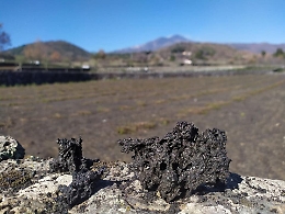 Eruzione Etna, Coldiretti Sicilia accerta danni alle colture