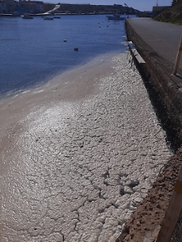 Lampedusa, schiuma densa nello specchio d'acqua dinanzi al porto